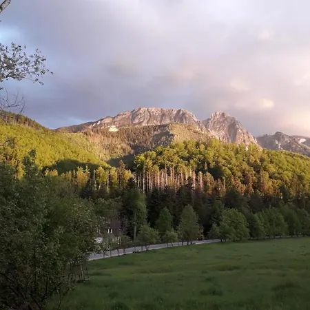 Osa Bogdanskiego 4 * Zakopane