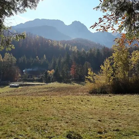 Osa Bogdanskiego 4 Apartmán
