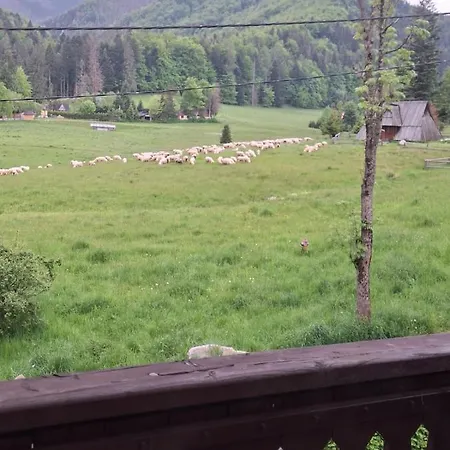 Osa Bogdanskiego 4 Apartmán Zakopane