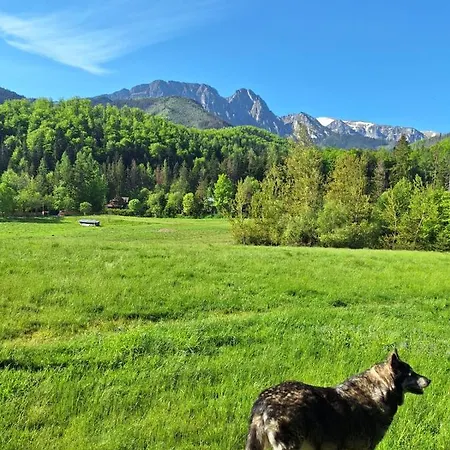 Apartamento Osa Bogdanskiego 4 Zakopane