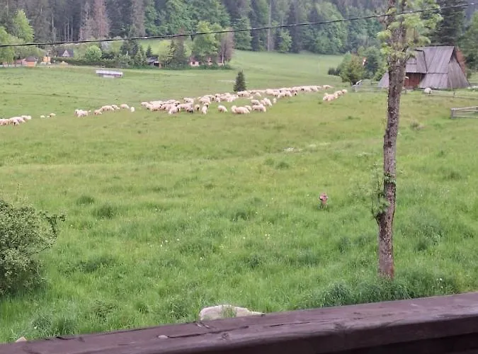 Osa Bogdanskiego 4 Apartman Zakopane